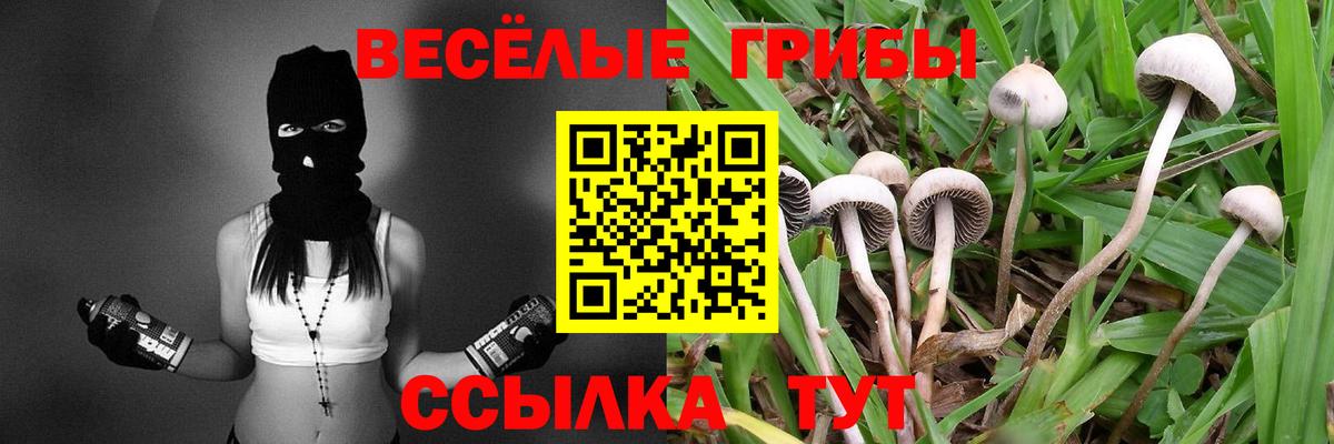 Галлюциногенные грибы ЛСД Санкт-Петербург